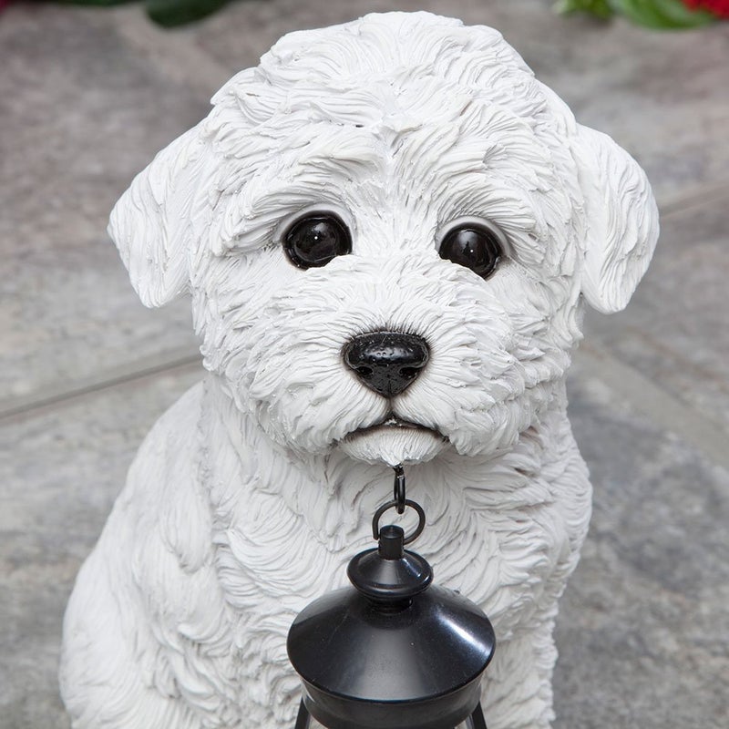 Bits and Pieces - Dog Solar Lantern Statue - Solar Powered Garden Lantern - Resin Dog Sculpture with LED Light - Outdoor Lighting and DÃ©cor (Bichon) - Image 2